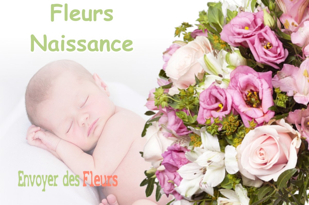 lIVRAISON FLEURS NAISSANCE à PONT-DU-NAVOY